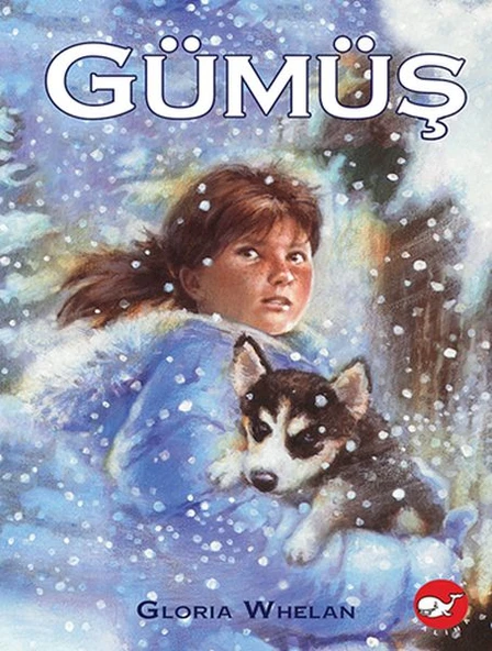 Gümüş ürün görseli 1