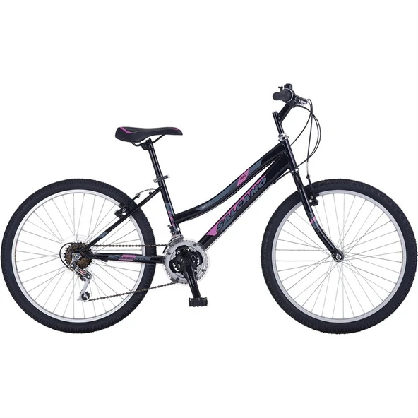 Salcano Excel 24 Lady Kadın Bisikleti (140 cm Üstü Boy) ürün görseli 1