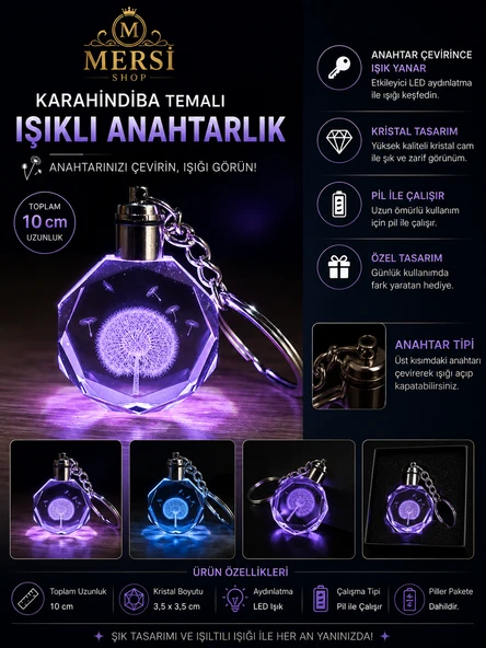 Karahindiba Tasarımlı Işıklı Kristal Anahtarlık Renk Değiştiren LED Anahtarlık ürün görseli 1