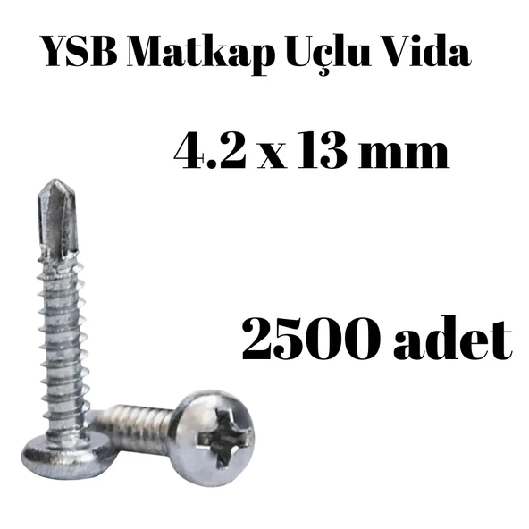 Yıldız Silindir Başlı 4.2x13 YSB Matkap Uçlu Akıllı Vida 2500 Adet ürün görseli 1