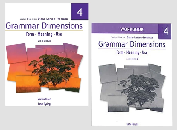 Grammar Dimensions 4: Form, Meaning, Use (4th ed.) + Workbook + Audios ürün görseli 1