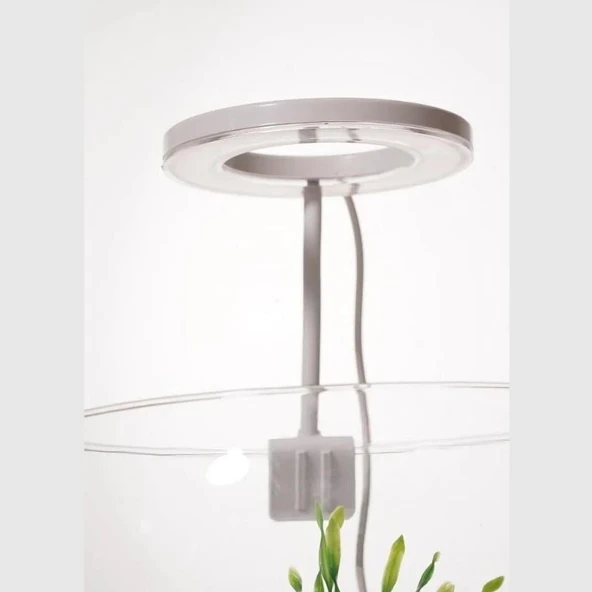 OrionLed Goosneck Fanus & Nano Akvaryum Led Aydınlatma Oval SİYAH ürün görseli 1