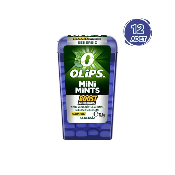 Mini Mints Nane Ginseng 12.5 G - 12 Adet