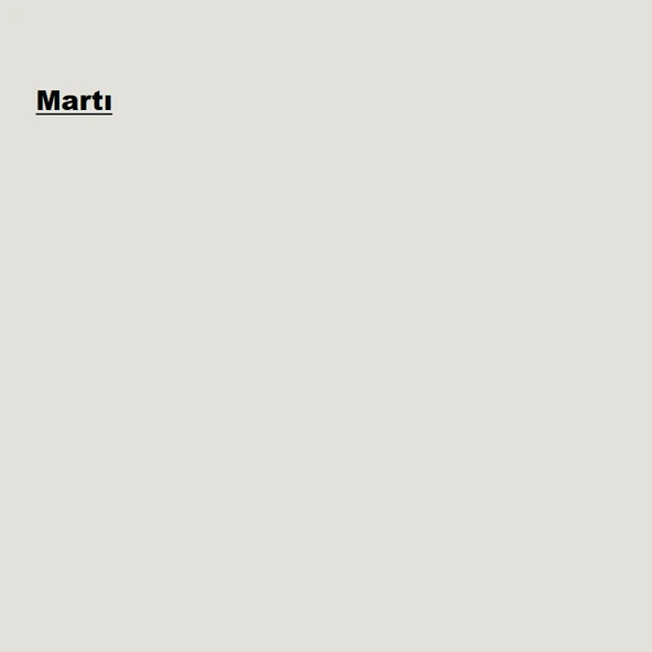 Marshall Maximum Mat İç Cephe Boyası Martı 2,5L - Resim 2