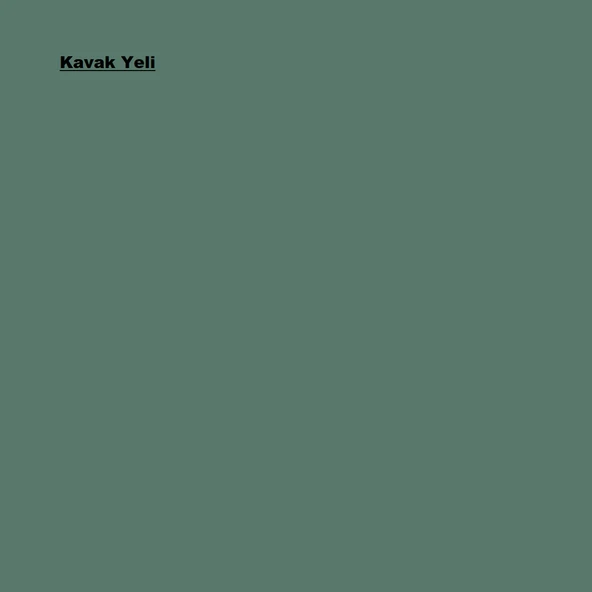 Marshall Maximum Mat İç Cephe Boyası Kavak Yeli 7,5L - Resim 2