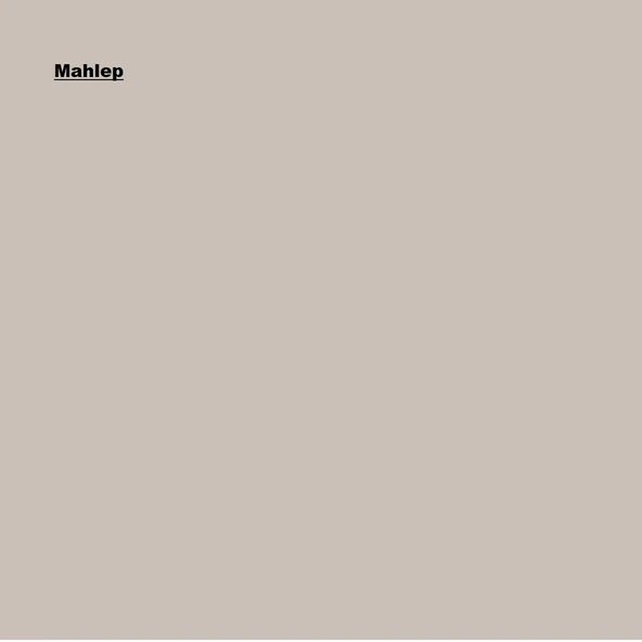 Marshall Pastel Yarı Mat Mahlep 2,5L - Resim 2