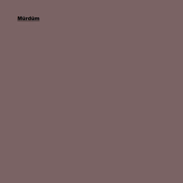 Marshall Maximum Mat İç Cephe Boyası Mürdüm 7,5L - Resim 2