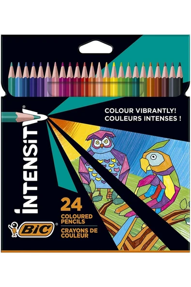 Bic Intensity Color Up Kuru Boya Kalemi 24 RENK / 9641481 ürün görseli 1