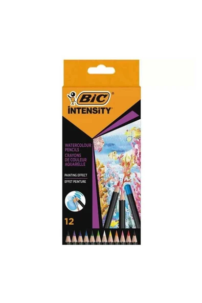 Bic İntensity Aquacouleur Kuru Sulu Boya Kalemi 12 Renk 511726 ürün görseli 1