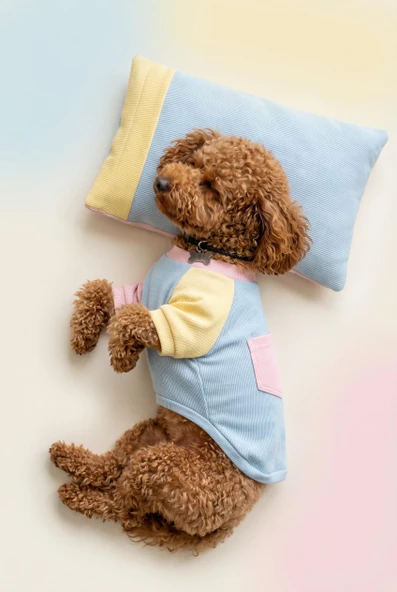 Bubbles Pastel Köpek Uyku Takımı | Mini Yastıklı Şeker Renkli Yazlık Köpek Pijama Seti | Küçük Irklar İçin ürün görseli 1