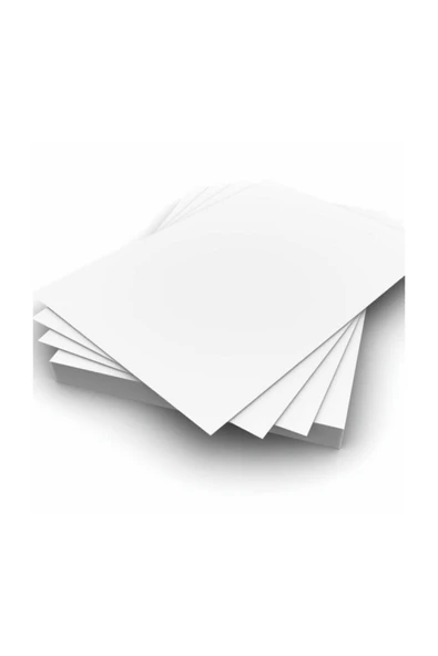 Saray 10 Adet Amerikan Bristol Kağıt 50 X 70 Cm 190 gram (0,66 KG) ürün görseli 1