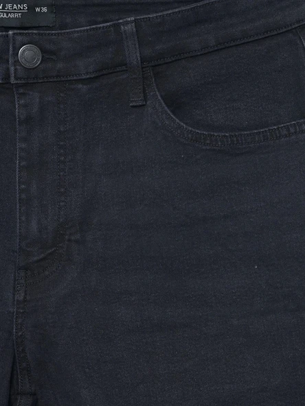 LCW Jeans Siyah Regular Fit Erkek Jean Şort - Resim 3