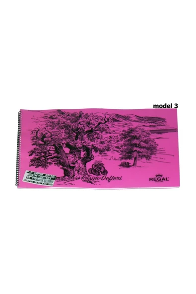 Gürpaş Spiralli Resim Defteri Plastik Kapak 35x50 25 Yp 100 gram Çizim Kağıdı Muhtelif Renkler ürün görseli 1