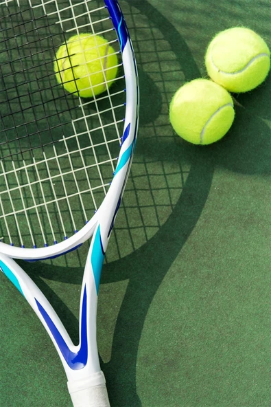 Hsport 3'lü Paket Yüksek Sekmeli Dayanıklı Antreman Yarı Profesyonel Tenis Topu ürün görseli 1