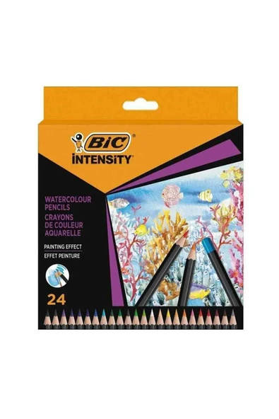 Bic Intensty Kuru Sulu Boya 24 Lü 511727 ürün görseli 1