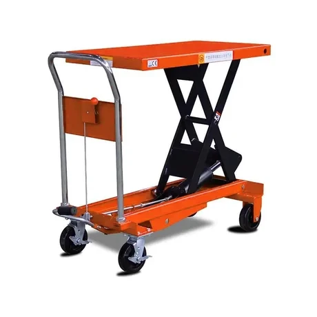 Rolwal 1000 Kg Yük Platformu ürün görseli 1