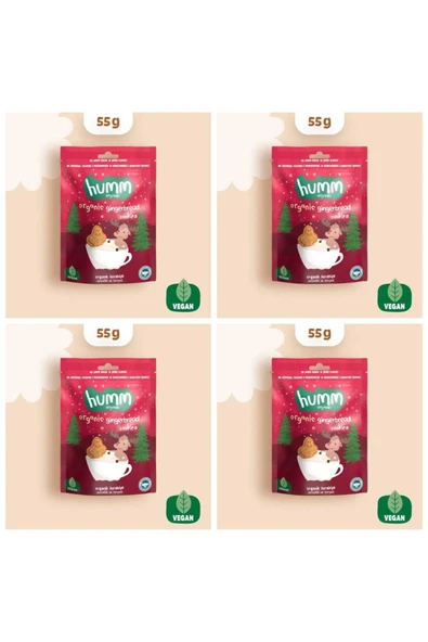 Organik Vegan Zencefilli ve Tarçınlı Kurabiye - 55g*4 adet ürün görseli 1