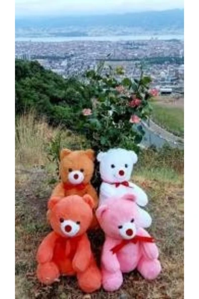 OYUNCAK PELUŞ AYI 55 CM ürün görseli 1