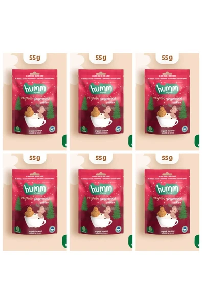 Organik Vegan Zencefilli ve Tarçınlı Kurabiye - 55g*6 adet ürün görseli 1