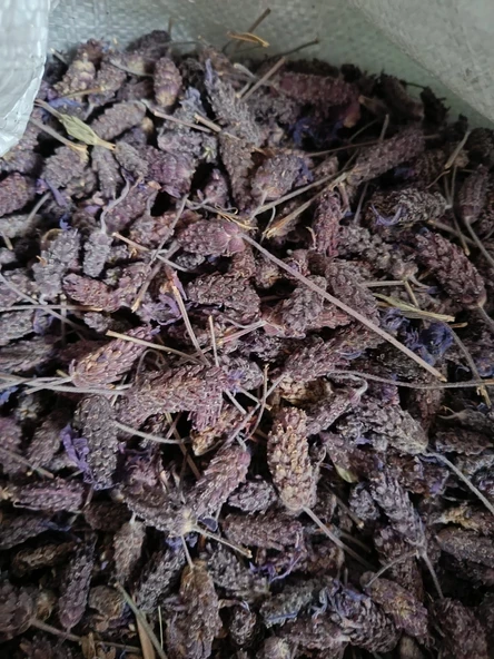 KARABAŞ OTU 200 GR ( doğal kurutulmuş yeni mahsül taze ürün ) ürün görseli 1