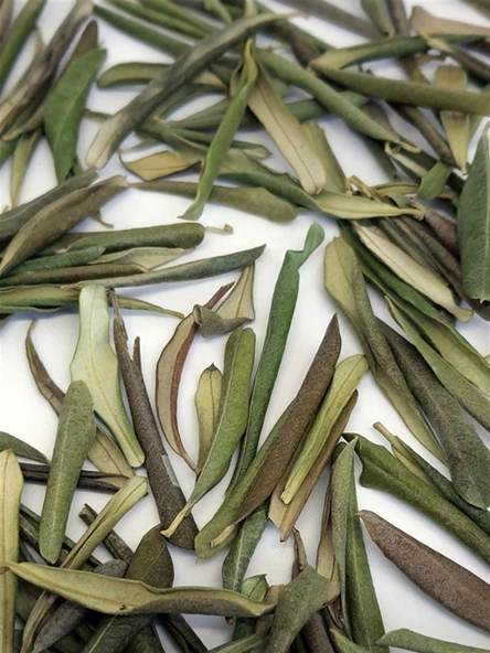 MİS BAHARAT Zeytin Yaprağı Çayı 200 gr ( Doğal Kurutulmuş, Elenmiş, Katkısız ) ürün görseli 1