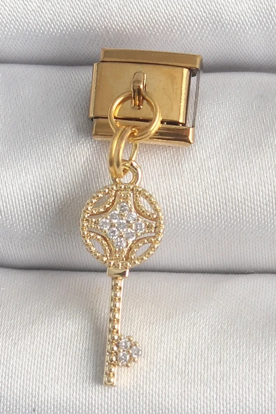 316L Çelik Gold Renk Sallantı Zirkon Taşlı Anahtar Model Nomination Charm ürün görseli 1