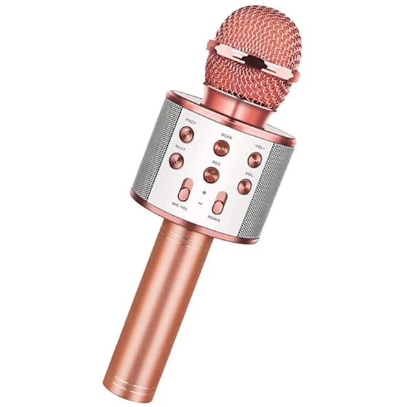 Winex UsbA+TF Sd Kart+3.5mm Aux Girişli Bluetooth Karaoke Mikrofonu Pembe ürün görseli 1