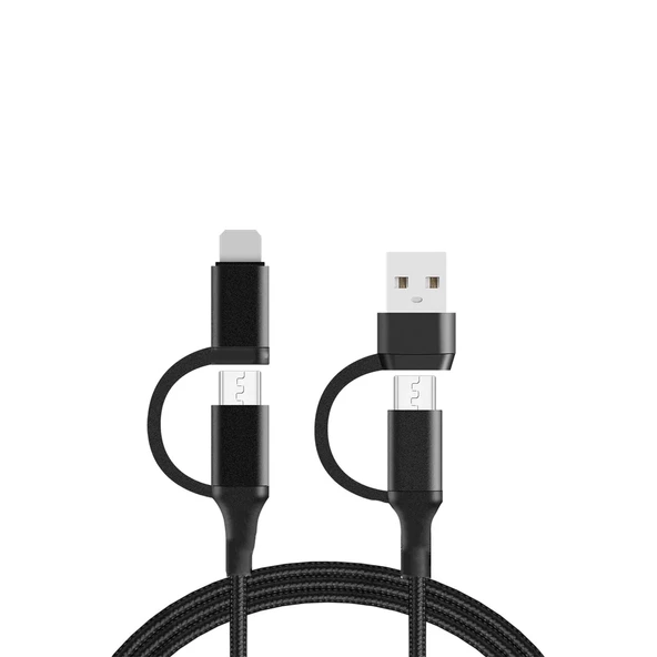 Winex 100W 4in1 Type-C - USB - Lightning - Type-C Çıkışlı Hızlı Data ve Şarj Kablosu Siyah ürün görseli 1