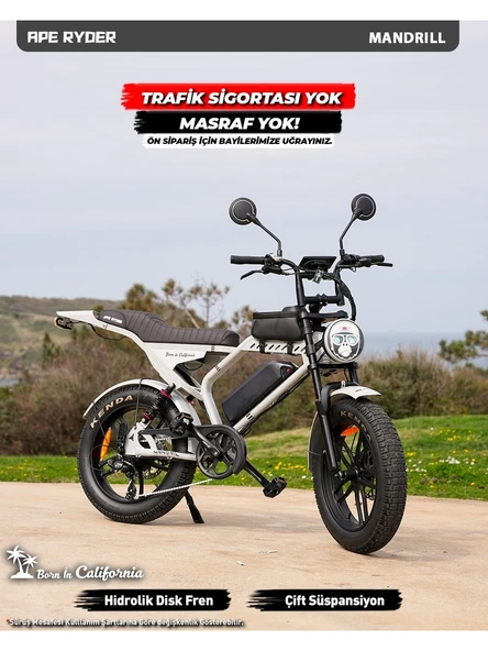 Ape Ryder Mandrill 1000 W Gri Elektrikli Bisiklet - Resim 5