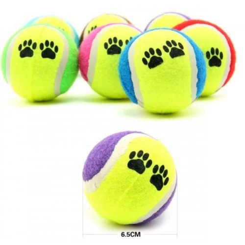 At Getir Köpek Eğitim Topu (5224) - Resim 3
