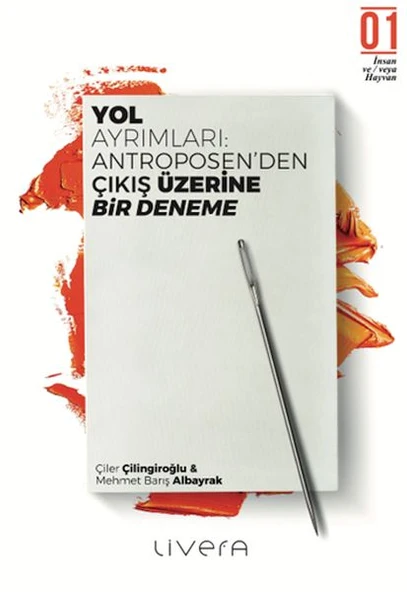 Yol Ayrımları ürün görseli 1