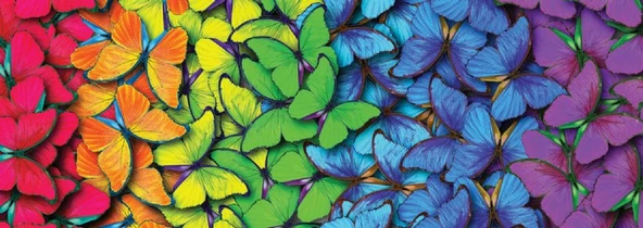 Nova Puzzle 1000 Parça Kelebekler Panorama Puzzle ürün görseli 1