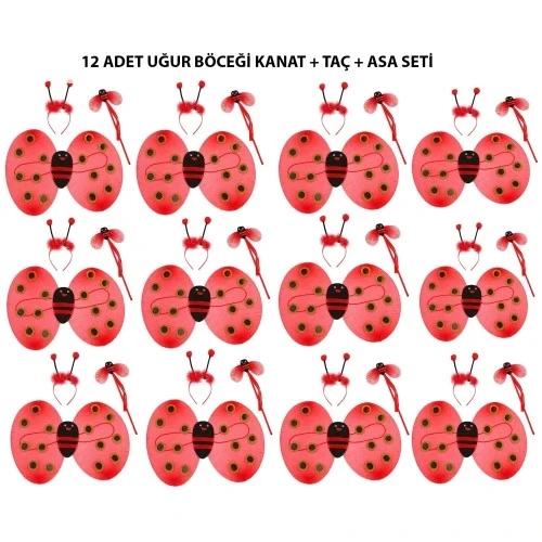 Uğur Böceği Kostüm Seti - Kanat, Taç, Asa 12 Adet ürün görseli 1