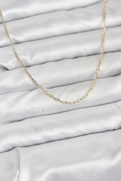 CM 14K Gold Renk Ataç Zincir Model 60 cm Kadın Kolye ürün görseli 1