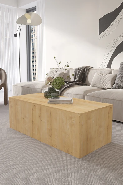 OBİ Atölye BLOK Orta Sehpa 110x50 cm İskandinav Stili Küp Sehpa Safir Meşe ürün görseli 1