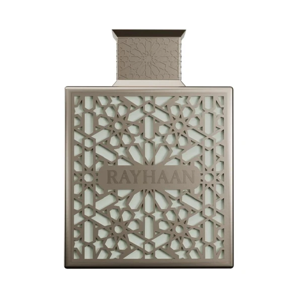 Rayhaan Terra EDP 100 ml Erkek Parfümü ürün görseli 1