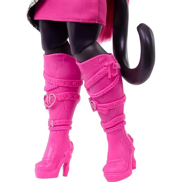 Monster High Acayip Havalı Arkadaşlar Catty Noir - Resim 4