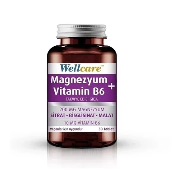 WELLCARE MAGNEZYUM + VİTAMİN B6 30 TABLET ürün görseli 1