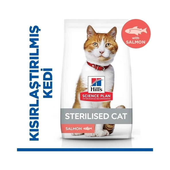 HİLLS STERİLİSED SOMONLU KEDİ MAMASI 8+2KG ürün görseli 1