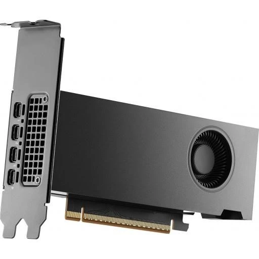 PNY RTX PRO 2000 BLACKWELL 16GB VCNRTXPRO2000-SB GDDR7 128bit 4X DP PCIe 5.0 ürün görseli 1