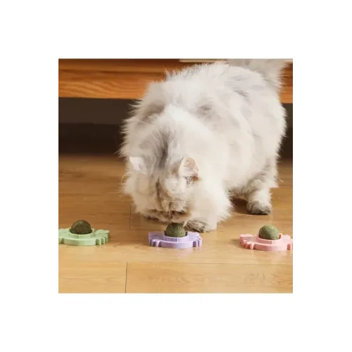 Yengeç Kedi Otu Oyun Topu - Resim 4