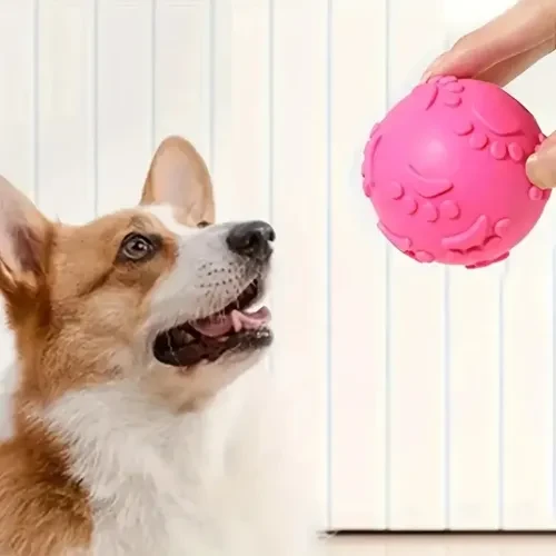 Pati Desenli Köpek Isırma Topu - Resim 3
