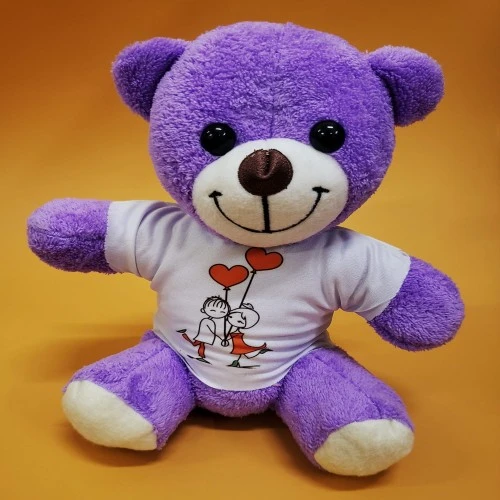 Tişörtlü Peluş Oyuncak Ayı ürün görseli 1