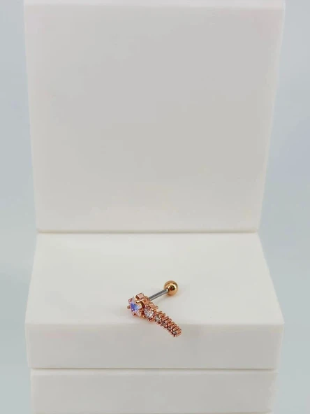 Tragus Kıkırdak Küpesi ürün görseli 1