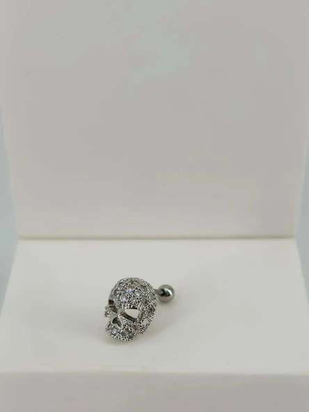 Tragus Kıkırdak Küpesi ürün görseli 1