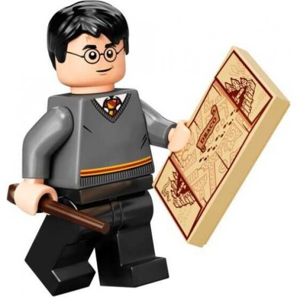 LEGO Harry Potter 40419 Hogwarts Students Accessory Set - Resim 2