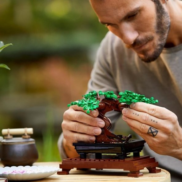 LEGO Creator Expert 10281 Bonsai Tree - Resim 7