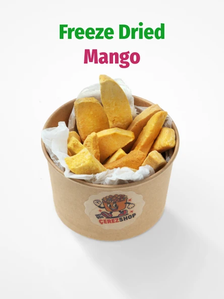 Freeze Dried Mango Dondurularak Kurutulmuş Meyve Cipsi ürün görseli 1
