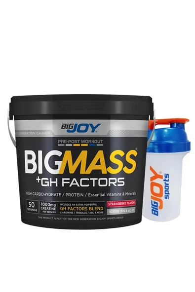 Bigjoy Bigjoy Big Mass Gh Factors 5000 gr Çilek Aromalı ürün görseli 1