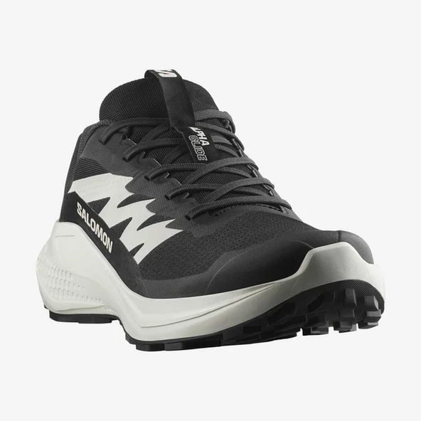 Salomon ALPHAGLIDE Erkek Ayakkabısı L47801000 ürün görseli 1